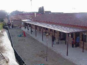 cole7